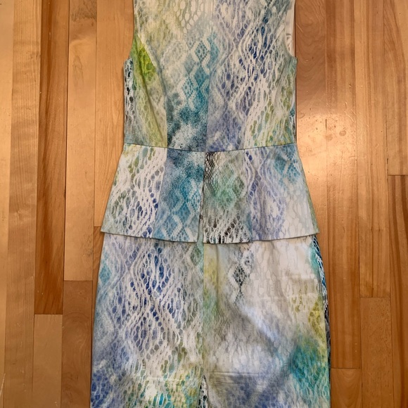 Elie Tahari Luxury Dress from Ogilvy’s - Picture 5 of 7